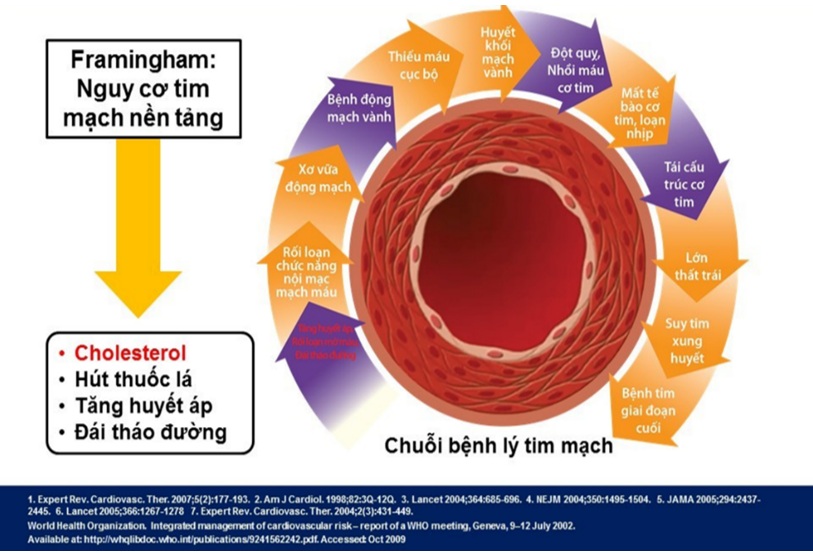 Cập nhật quản lý Rối loạn Lipid máu ở bệnh nhân bệnh Tim mạch do xơ vữa theo ACC/AHA 2026