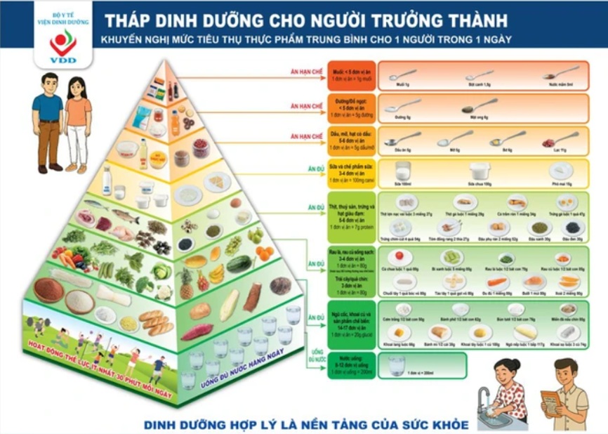 Tháp dinh dưỡng “đảo chiều” của Mỹ và những điều cần biết